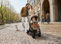 card-image