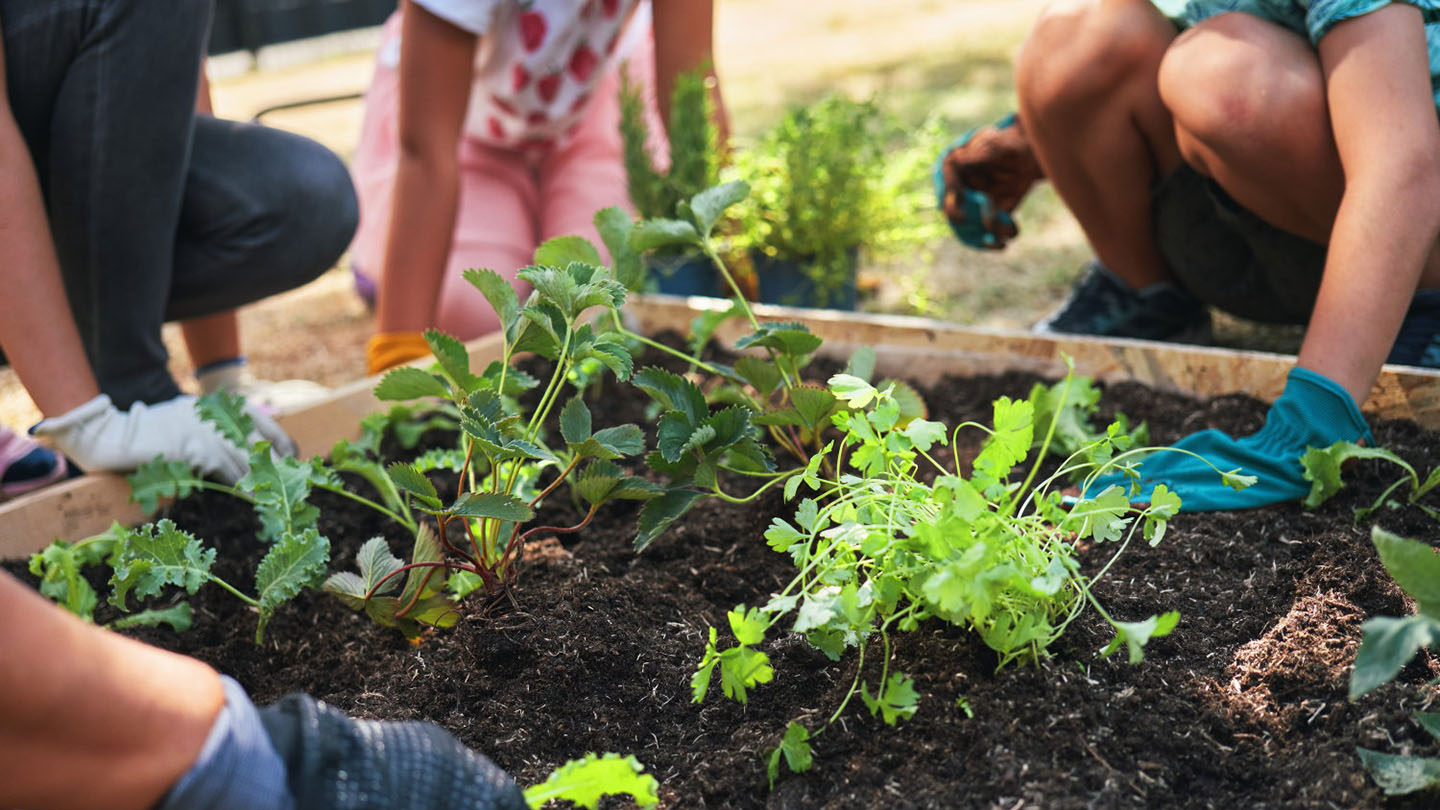 L'importanza di educare i bambini all'amore e al rispetto per l'ambiente